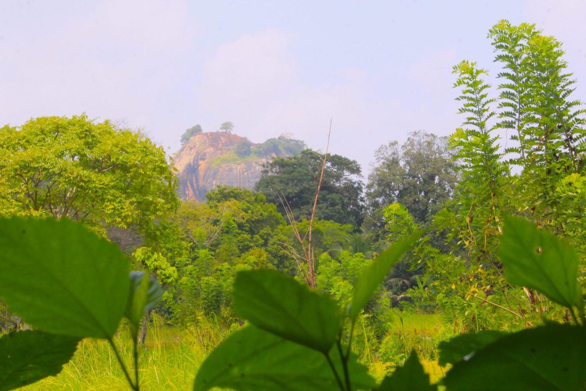 Sigiriya Palace View 外观 照片